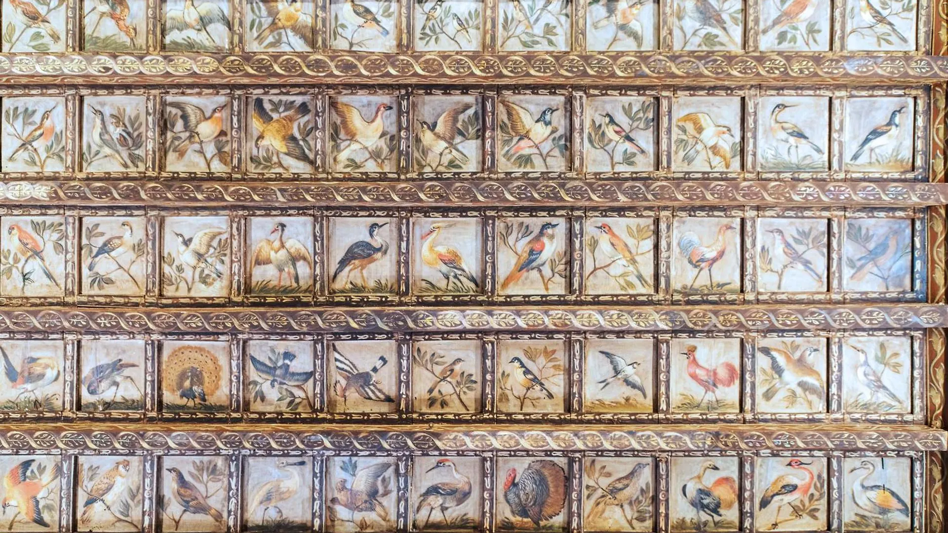 Il Sogno Delle Tartarughe Apartment Rome