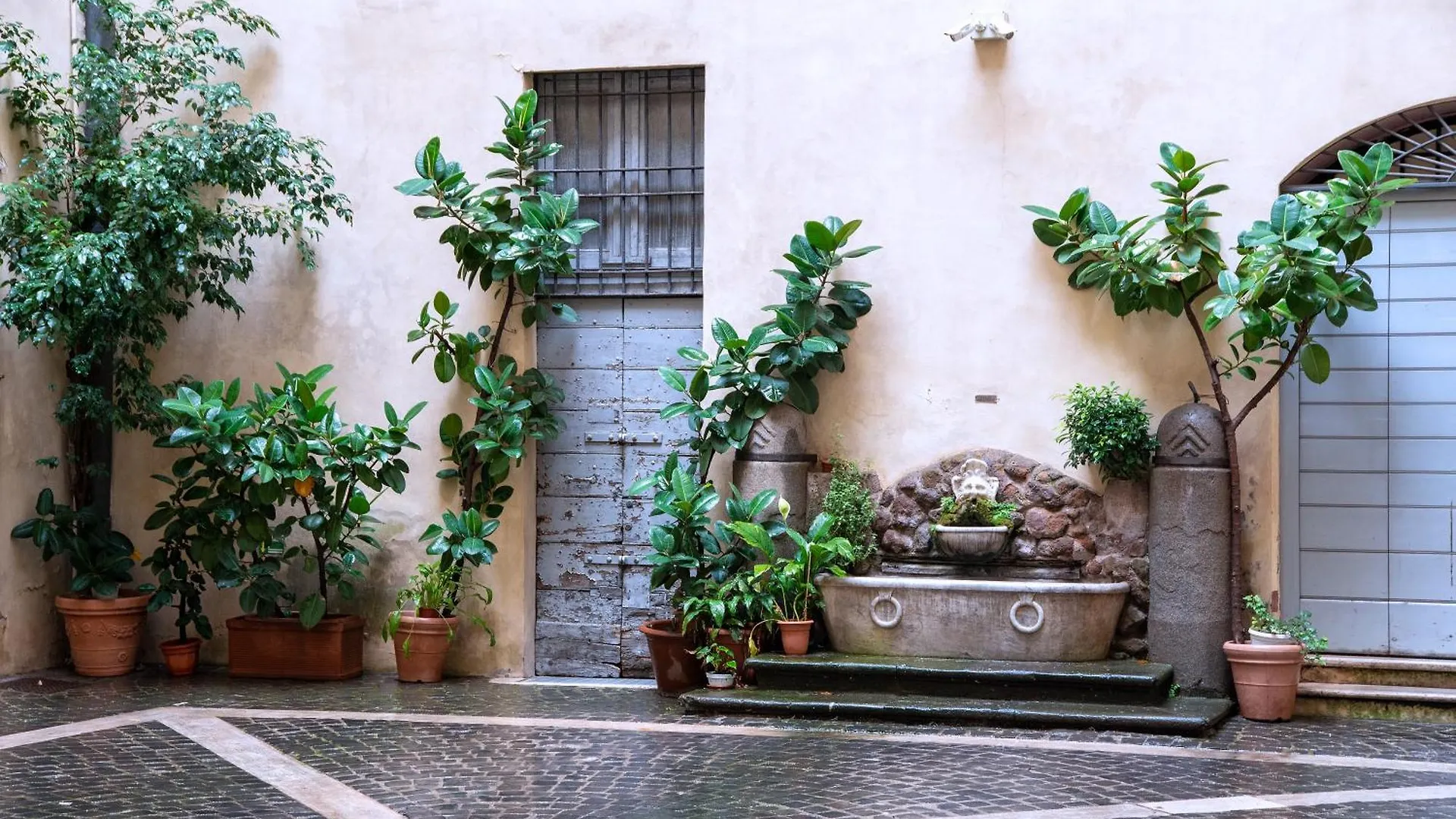Il Sogno Delle Tartarughe Apartment Rome