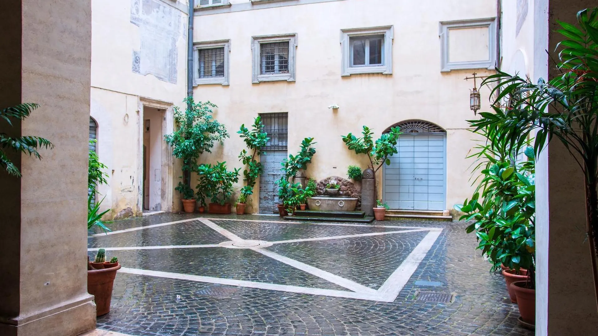 Il Sogno Delle Tartarughe Apartment Rome
